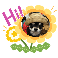 [LINEスタンプ] ハピネススタンプ❤️