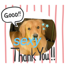 [LINEスタンプ] 愉快な怜央5