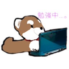 [LINEスタンプ] 犬神家