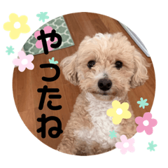 [LINEスタンプ] 愛するフランスタンプ