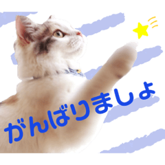 [LINEスタンプ] モカちゃんpart.3