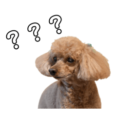 [LINEスタンプ] クリエイターファイル ①