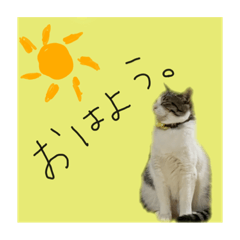 [LINEスタンプ] ちあーず2