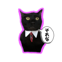 [LINEスタンプ] チョビくんのいる毎日☆