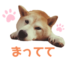 [LINEスタンプ] ゆめのワンコひな