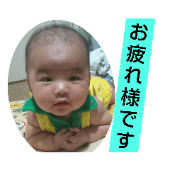 [LINEスタンプ] Ho-chanスタンプ