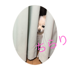 [LINEスタンプ] あとむあとむあとむ