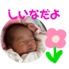 [LINEスタンプ] おしんこしーちゃん