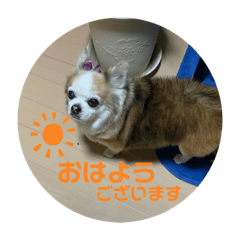 [LINEスタンプ] coco.mr