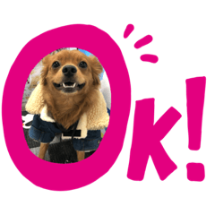 [LINEスタンプ] しぶちょぼ