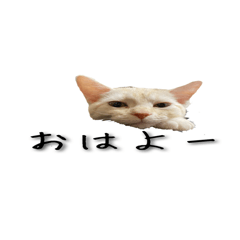 [LINEスタンプ] からあげくんとつくねくん