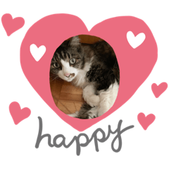 [LINEスタンプ] 我家の猫はなちゃんスタンプ