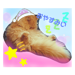 [LINEスタンプ] だいきちごきげん