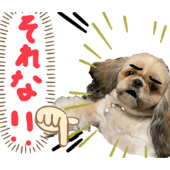 [LINEスタンプ] 暴れん坊犬 なな＆ルカ 2
