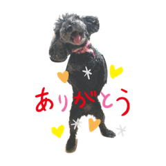 [LINEスタンプ] 丹羽みゆスタンプ