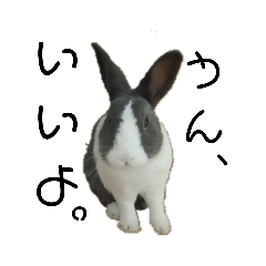 [LINEスタンプ] うさぎのモモと長介。