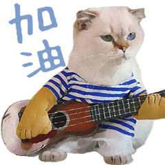 [LINEスタンプ] ウイニの猫