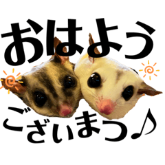 [LINEスタンプ] こゆきとこはる♡