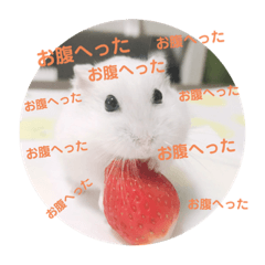 [LINEスタンプ] 必死