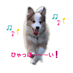 [LINEスタンプ] フィーマベルナスタンプ VOL.1