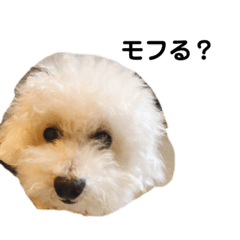 [LINEスタンプ] ルーミンシジ2