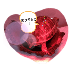 [LINEスタンプ] わたしの亀