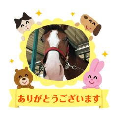[LINEスタンプ] シャドウ＆多賀井スタンプ