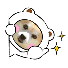 [LINEスタンプ] 今日のちゃこちゃん2