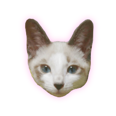 [LINEスタンプ] ふぶちゃんスタンプ