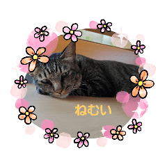 [LINEスタンプ] 家のロク3