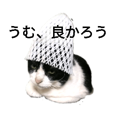 [LINEスタンプ] ニールス・ボーヤと仲間たちver.1.1