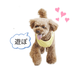 [LINEスタンプ] マルちゃんまる