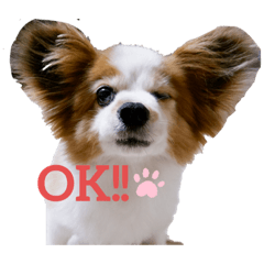 [LINEスタンプ] ポッキースタンプ！1