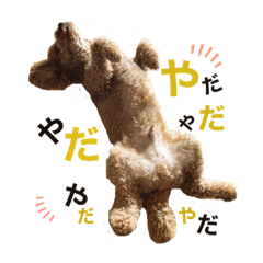[LINEスタンプ] パルのまいにち①