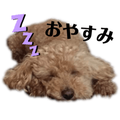 [LINEスタンプ] かわいいアルのスタンプ
