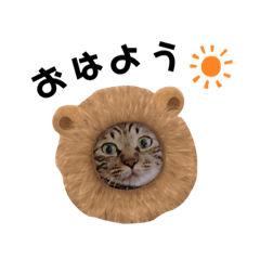[LINEスタンプ] ニャ男スタンプ