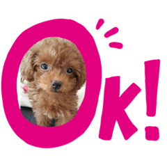 [LINEスタンプ] クルミとモネスタンプ