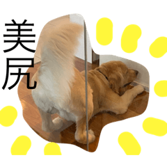 [LINEスタンプ] 僕と私の日常