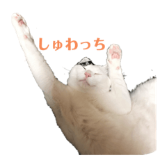 [LINEスタンプ] ギンとスズその2