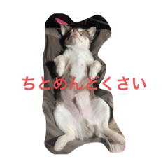 [LINEスタンプ] まいけるくん