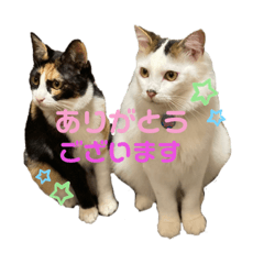[LINEスタンプ] ふくりんスタンプ