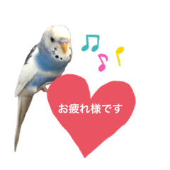 [LINEスタンプ] セキセイインコのちぃーちゃんです2