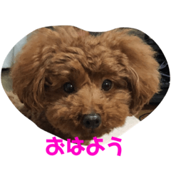 [LINEスタンプ] mash stamp_