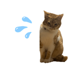 [LINEスタンプ] ペット^._.^^._.^