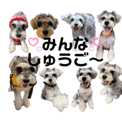 [LINEスタンプ] ぐぅスタンプ3