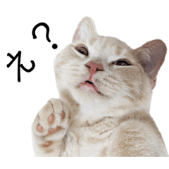 [LINEスタンプ] まりぱも