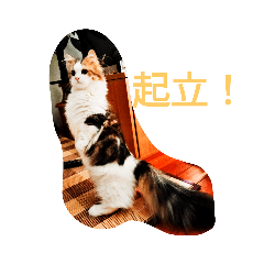 [LINEスタンプ] 起立リンク
