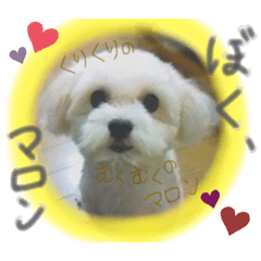 [LINEスタンプ] ぼく、マロン