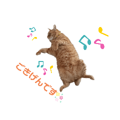[LINEスタンプ] 茶トラ兄妹のぶみーのLINEスタンプ