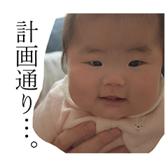 [LINEスタンプ] TKGファミリーの専用スタンプ(Ver4)